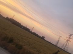 -宗泉烤全羊·烤羊腿·家常菜(解放东路店)