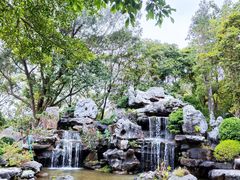 -东莞植物园