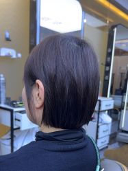 点击看大图 -藤野造型