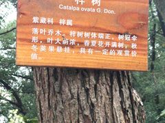 -雨花台烈士纪念馆