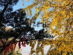 -岳麓山风景名胜区