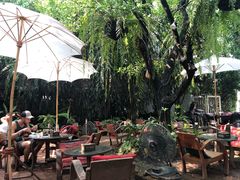 -Fern Forest Cafe