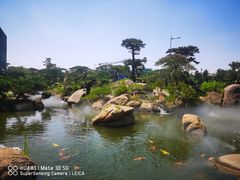 -罗红摄影艺术馆