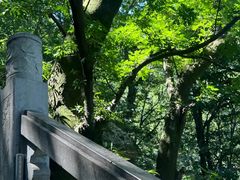 -终南山南五台景区