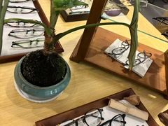 -Eziwish眼镜·蔡司授权店