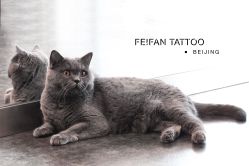 -飛凡TATTOO纹身•原创