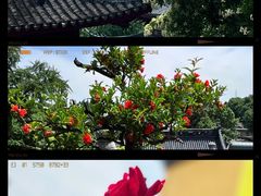 -鸡鸣寺