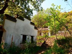 -上海佘山国家森林公园天马山园