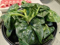 -海底捞火锅(王府井银泰in88店)