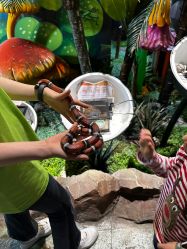 -酷嗒动物文化乐园(cutezoo西溪乐天城店)