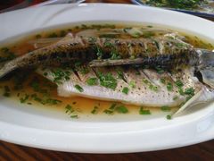 -呼吸森林·生态农庄农家乐私房菜