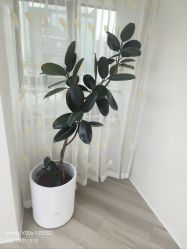 -HEYAN荷妍专业脱毛连锁机构