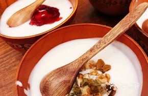 Homemade Nutty Appetizer Yogurt