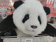 -熊猫邮局(少城店)