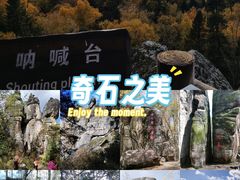 -汤旺河林海奇石景区
