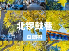-颐和园