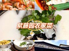 -紫藤园·天目湖大鱼头(南山竹海店)