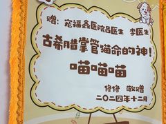 -宠福鑫康馨动物医院·骨科·眼科