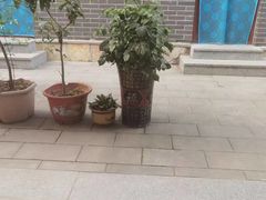-梨木台悦来客农家院