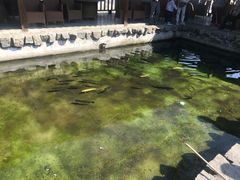 -京北渔家傲