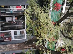 -螺蛳粉先生(蓟门桥店)
