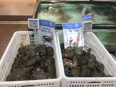 -盒马渔市餐厅