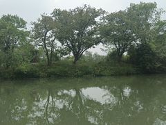 -西溪国家湿地公园