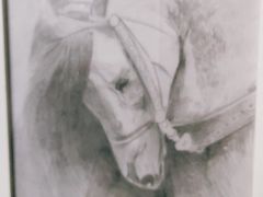 -缤纷鸟美术书法(交大校区)
