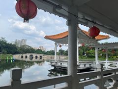-荔湾湖公园