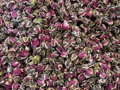 -中百仓储超市(百步亭花园路店)