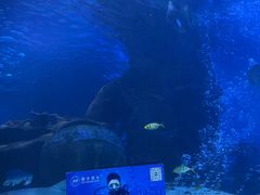 -太平洋海底世界