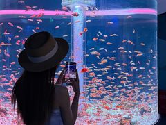 -海合安成都极地海洋公园
