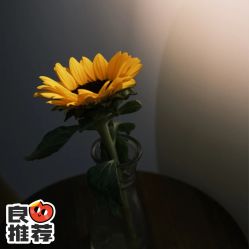 -芳香乐府疗愈空间·SPA·冥想