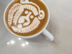-SAFARI COFFEE