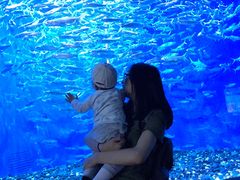 -成都浩海立方海洋公园