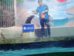 -常州海昌海洋探索馆
