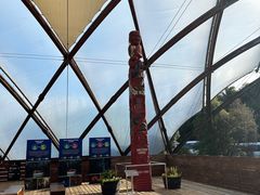 -怀托摩萤火虫洞