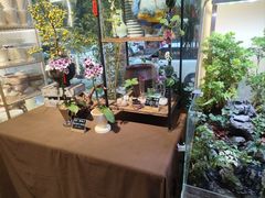 -弗劳尔花艺坊(龙涛店)