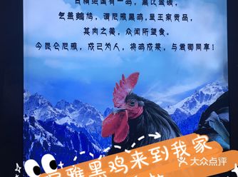 穿越千年的味道，昆仑尼雅黑鸡，我们来啦
