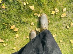 -重庆市江北嘴中央商务区中央公园