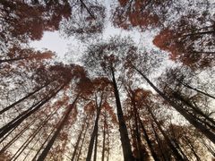 -杭州西湖风景名胜区-章太炎纪念馆