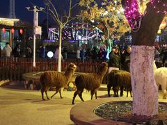 -大连森林动物园