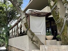 -朴墅(西湖青芝坞店·杭帮菜·家宴.14年的店)