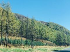 -塞罕坝国家级自然保护区