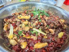 -食神又名厕所兔