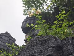 -梭布垭石林景区