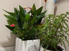 -星美科技皮肤管理中心(国贸店)