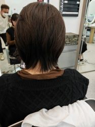 -环球蝶上美业连锁