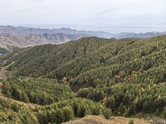 -苏木山森林公园