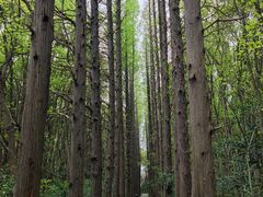 -同里国家湿地公园